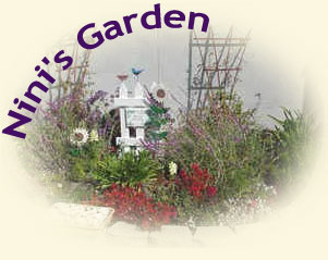 Nini's Garden